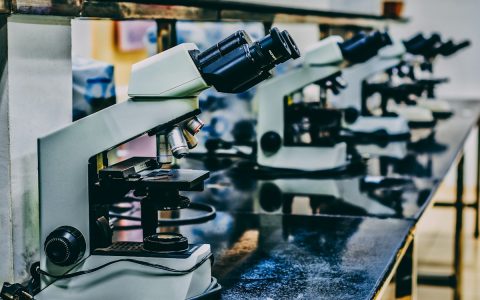 Mikroskop laboratorium sebagai ilustrasi riset vaksin malaria
