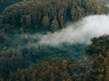 Asap terlihat di atas kawasan hutan yang terdampak kebakaran